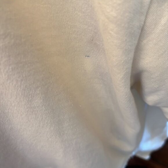 This is a Robin Embroidered Quote Sweatshirt - Picture 4 of 9